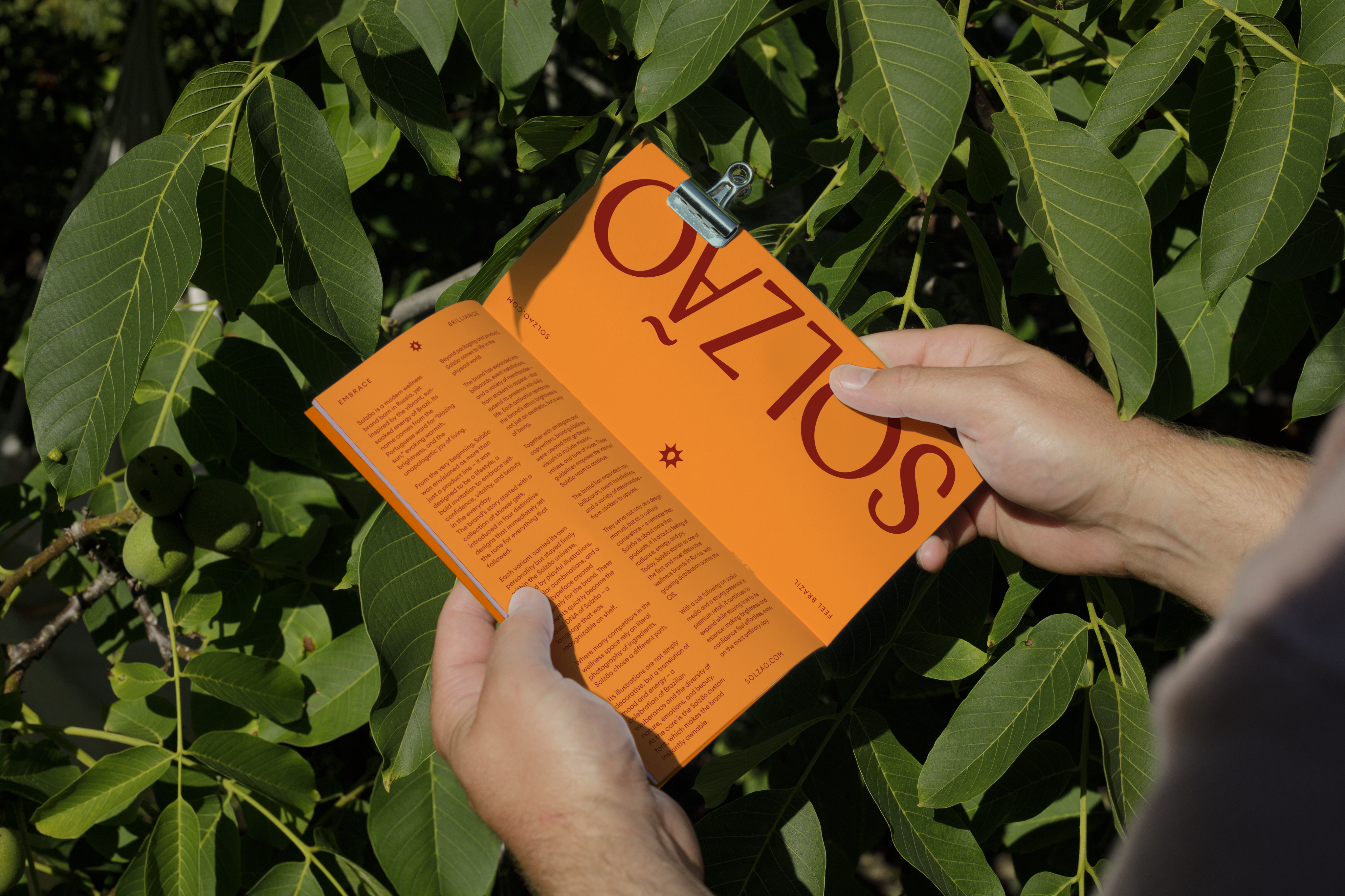 Graphic of a typography specimen showing the alphabet and numerals on top of a dark gray background.